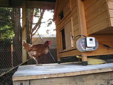 You are currently viewing Home Made Automatic Horizontal Chicken Coop Door Opener