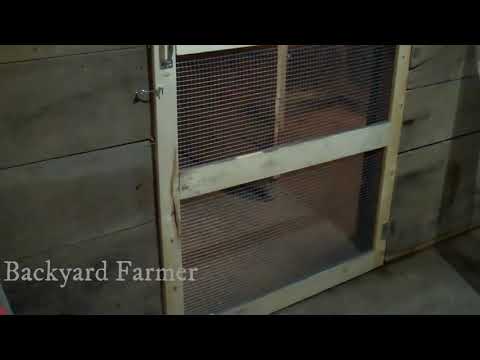 You are currently viewing How to Build a Chicken Coop Screen Door