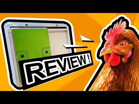 You are currently viewing HURT CHICKEN OR NOT?! | HONEST REVIEW | OMLET AUTOMATIC COOP DOOR | UNBOXING, INSTALLING AND TESTING