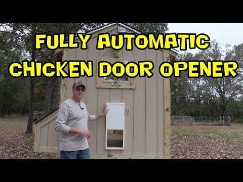 Read more about the article Ladies First Chicken door – Automaitc chicken coop door opener