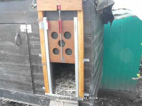 Read more about the article light controlled chicken coop door