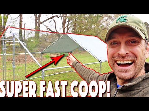 Read more about the article Metal Chicken Run Extension, Coop, Or Tractor! Can Be Used For All Three! Full Assembly Tutorial!