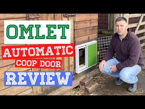 Read more about the article Omlet Automatic Chicken Coop Door Opener Review – Would I Recommend? – Hell Yes Learn Why!