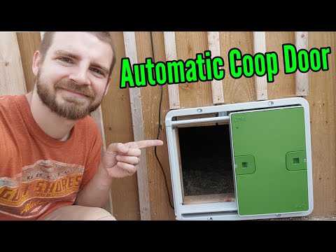 You are currently viewing Omlet Automatic Chicken Coop Door Review and Installation.
