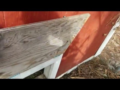 Read more about the article Simple DIY Automatic Chicken Coop Door