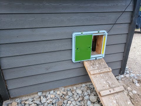 Read more about the article The Automatic Chicken Coop Door – How To Keep Your Chickens Safe & Secure