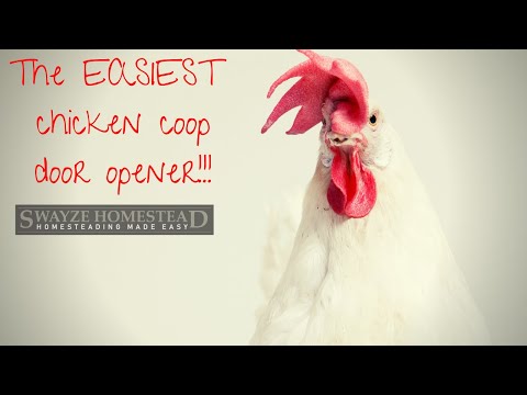 You are currently viewing The EASIEST Automatic chicken coop door opener!!!