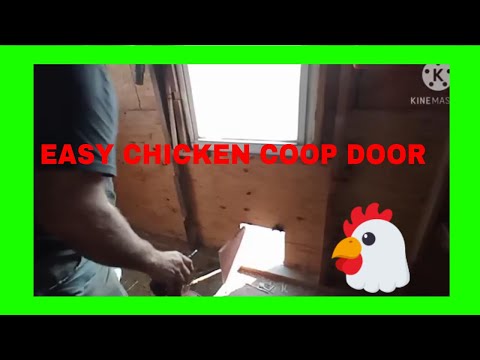 You are currently viewing The hens get a new chicken coop door