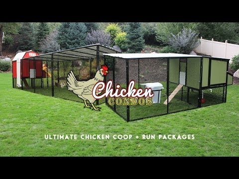 Read more about the article Ultimate Chicken Coop + Run from Chicken Condos
