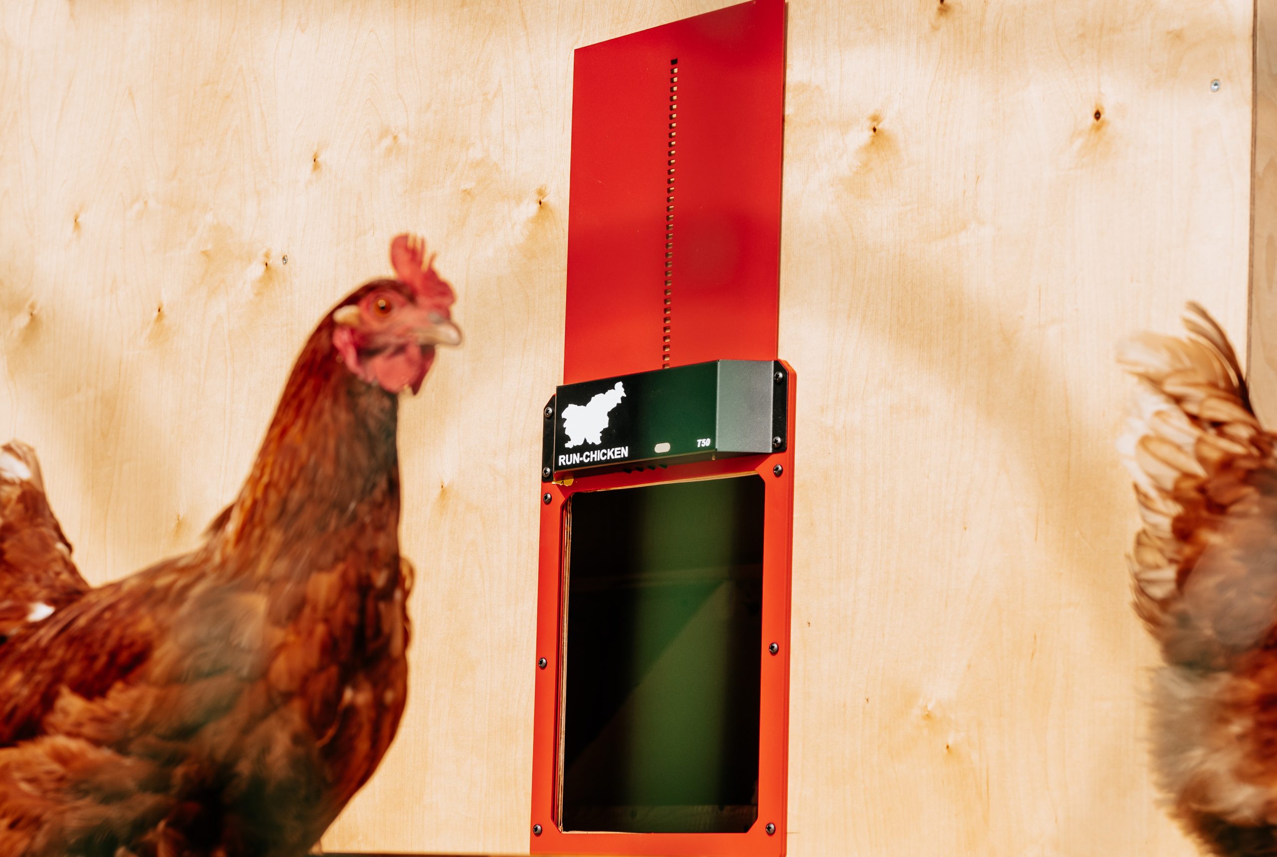 Read more about the article Discover the Ultimate Convenience: Run Chicken Automatic Coop Doors